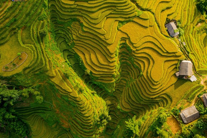 Tour Sapa 2 Ngày 2 Đêm Tàu Hỏa Hà Nội Sapa